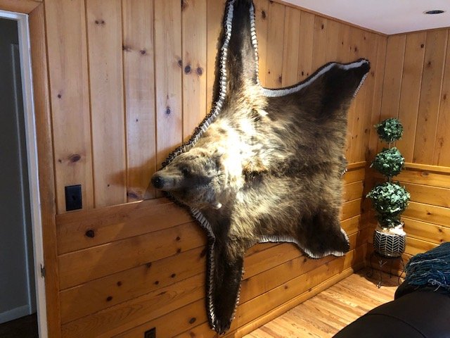 Grizzly Bear Rug.jpg Grizzly Bear Rug.jpg