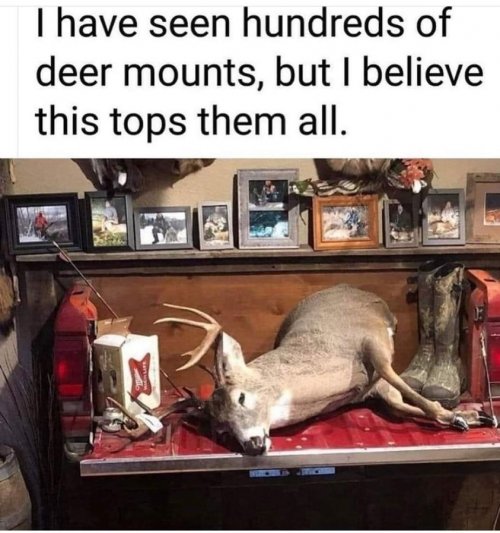 deermount.jpg