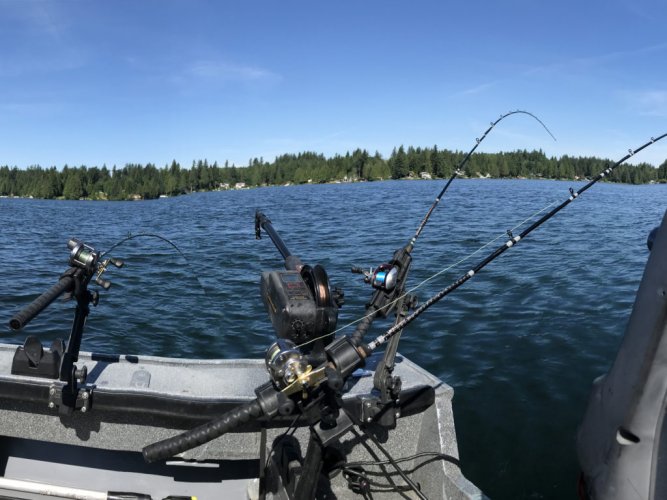 lake-stevens-kokanee-downrigger-fishing-1024x768.jpg