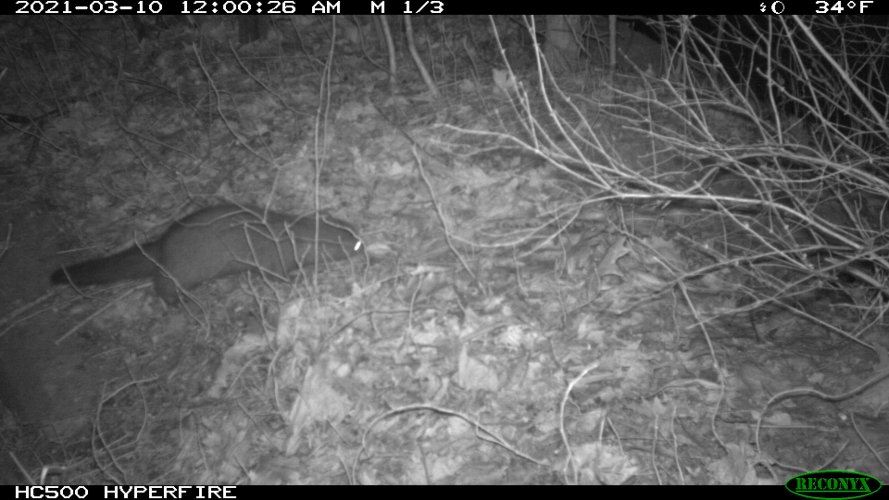 19B6E288-3247-47CF-9012-F240E570A2B9.jpeg