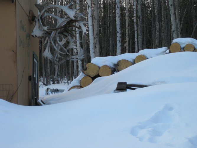 hothouse_snow.jpg hothouse_snow.jpg