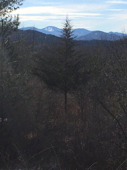 IMG_4394.jpg IMG_4394.jpg