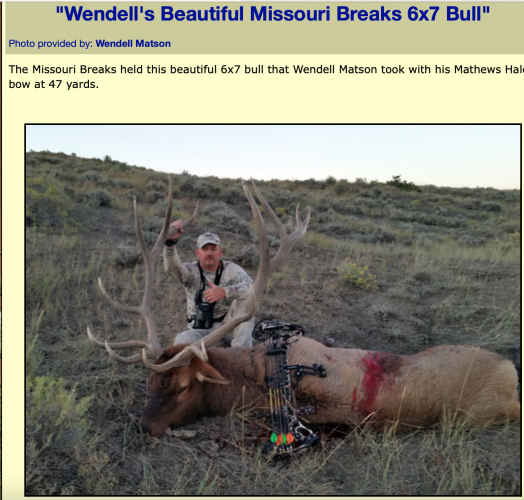 Screen Shot 2021-03-17 at 4.55.01 PM.png