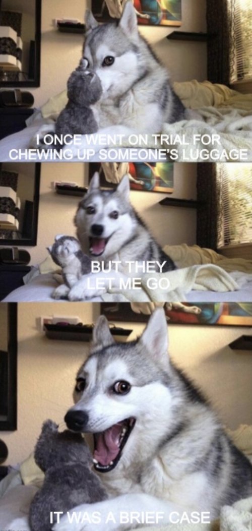 F002A86D-5BBB-43DC-9483-99EB746EB33F.jpeg