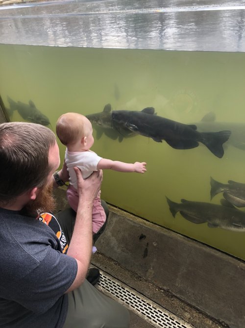 4571E3CE-8599-4F30-977F-63E41BCADE26.jpeg 4571E3CE-8599-4F30-977F-63E41BCADE26.jpeg