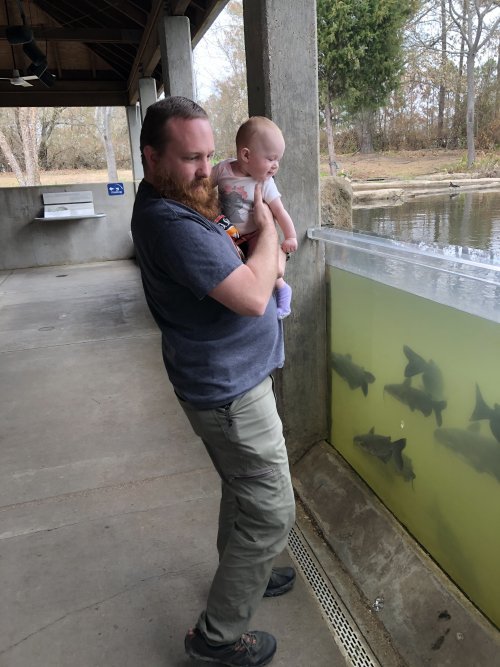 CCD43148-AB4C-403C-9475-0FA1E2FDDE19.jpeg CCD43148-AB4C-403C-9475-0FA1E2FDDE19.jpeg