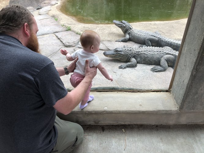 224FF816-3DF6-4655-8979-FC6EEC0D756D.jpeg 224FF816-3DF6-4655-8979-FC6EEC0D756D.jpeg