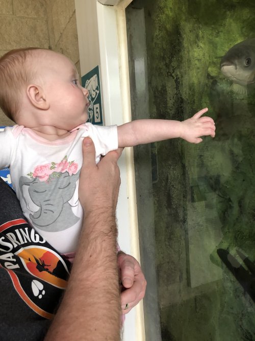 63D0D579-C8D4-41C9-BC9F-44EBEBE11856.jpeg 63D0D579-C8D4-41C9-BC9F-44EBEBE11856.jpeg