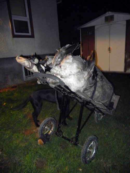 Goose Cart FinalB.JPG