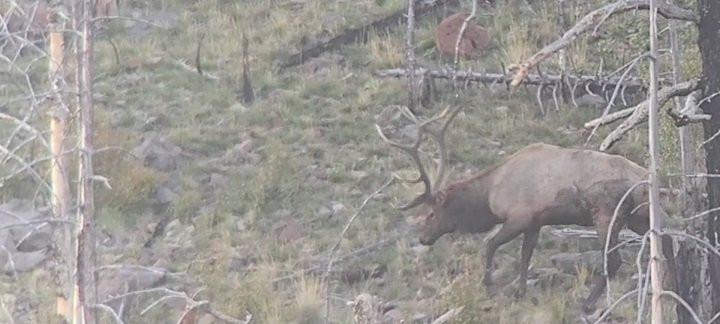 Screenshot_20200915-062924_Video Player.jpg