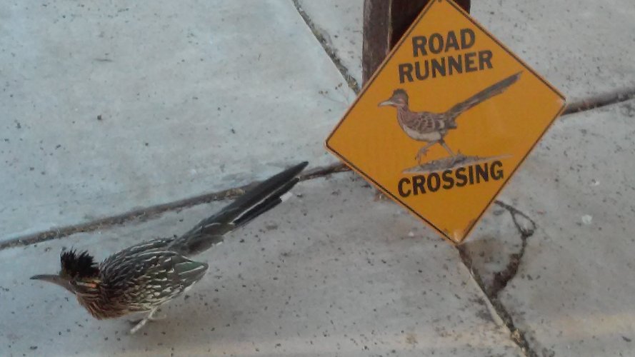 ROADRUNNER CROSSING 20'.jpg ROADRUNNER CROSSING 20'.jpg