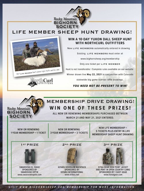 Life Member Sheep Hunt Drawin AD small.jpg