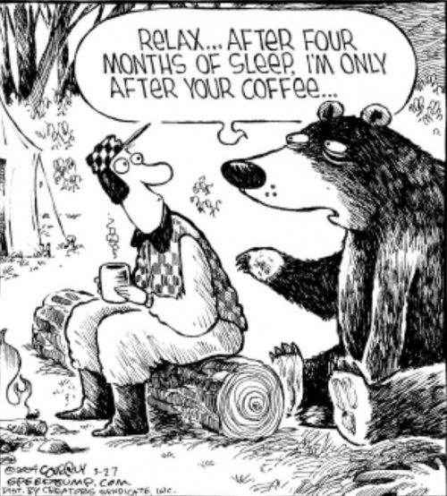 coffeebear.jpg