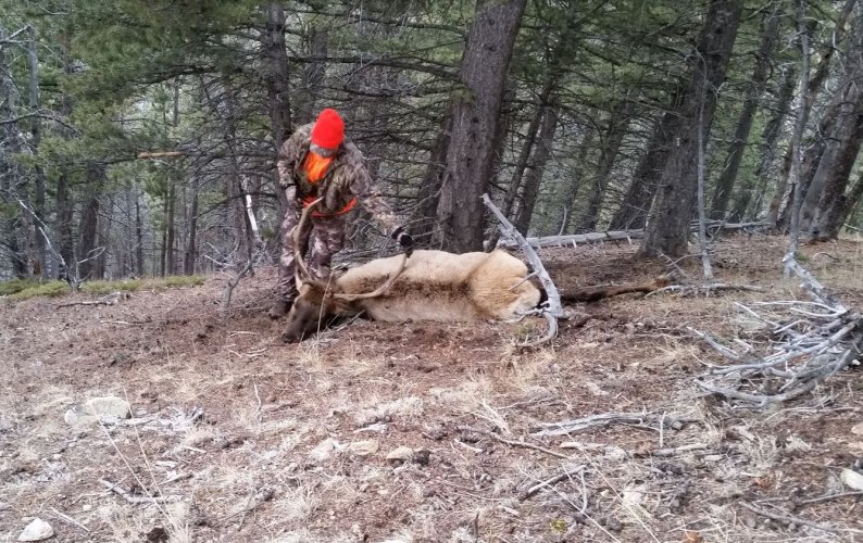 Prescriptive Easement Bull.JPG Prescriptive Easement Bull.JPG