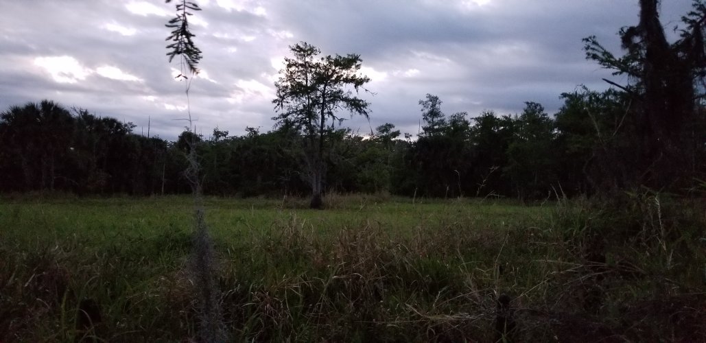 20210320_070839.jpg 20210320_070839.jpg