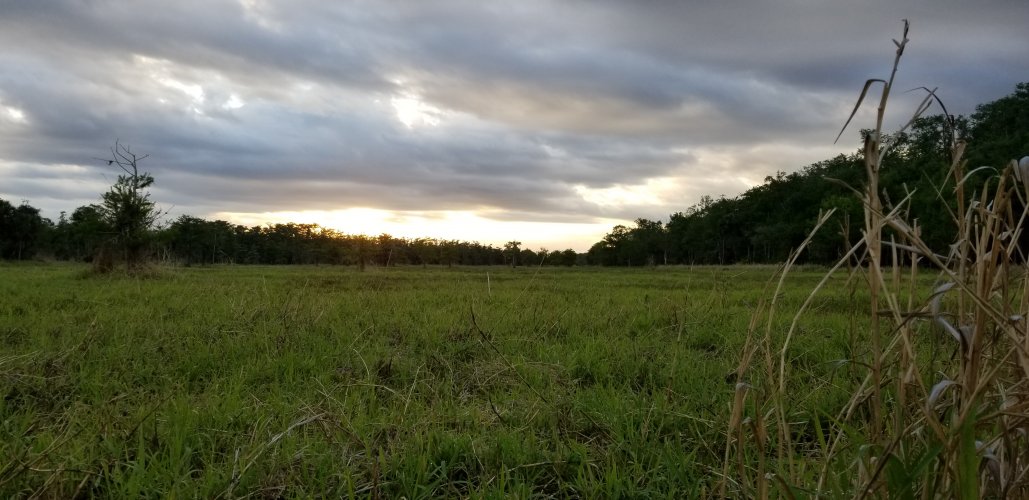 20210320_075521.jpg 20210320_075521.jpg