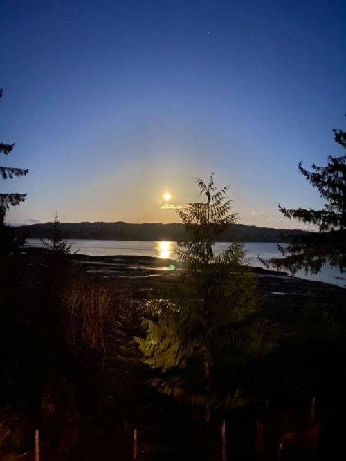 Moonrise.jpg Moonrise.jpg