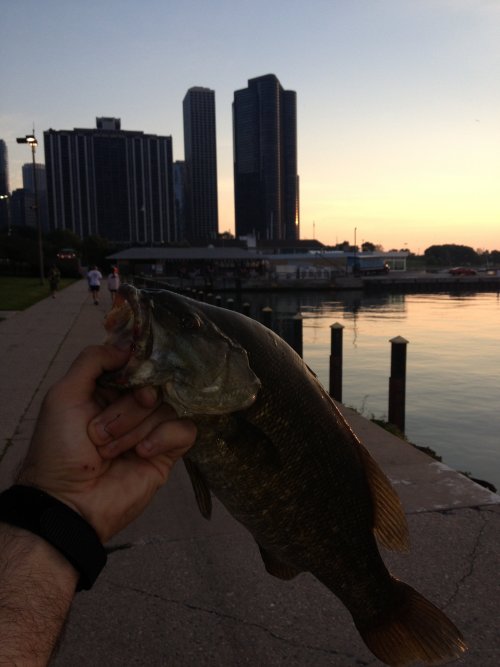 IMG_0177.JPG IMG_0177.JPG