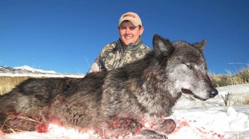 MT Wolf 2012 1.jpg