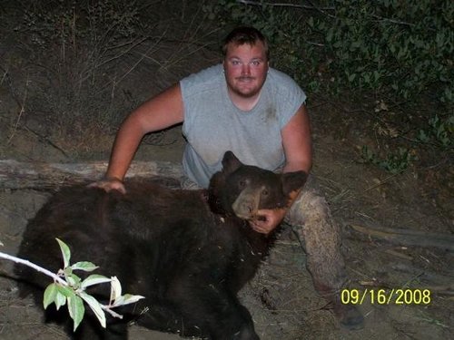 bear.jpg