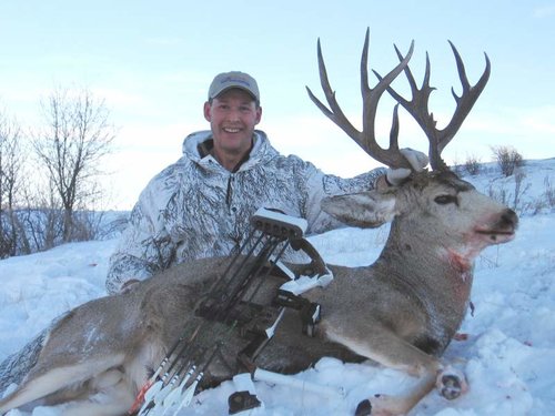 2008 Bow Mulie.jpg