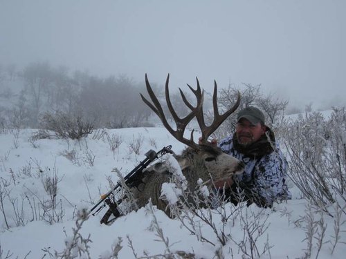 2010 December- B.D.E. Best Day Ever MULE DEER 030.jpg 2010 December- B.D.E. Best Day Ever MULE DEER 030.jpg