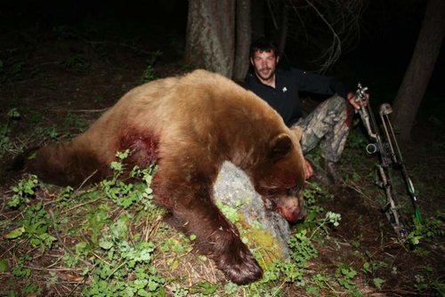 IMG_0961bear.jpg