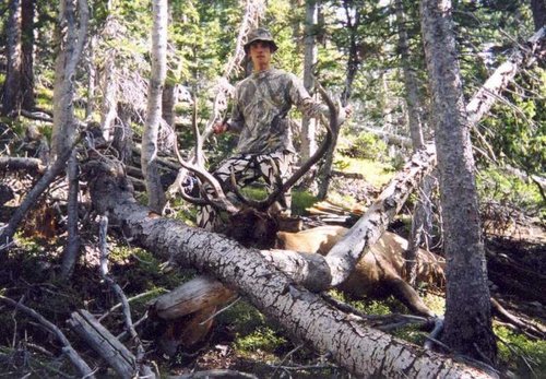 2004 elk.jpg