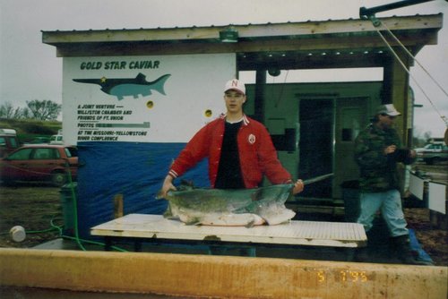 1995 paddlefish.jpg 1995 paddlefish.jpg