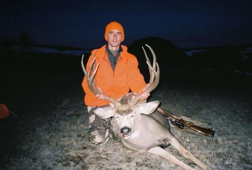 2008 Deer small.jpg