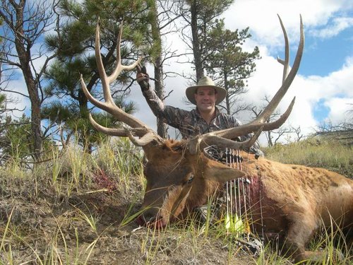 '10 Elk.jpg '10 Elk.jpg