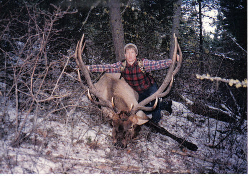 1985 7 x 7 Bull Elk.jpg