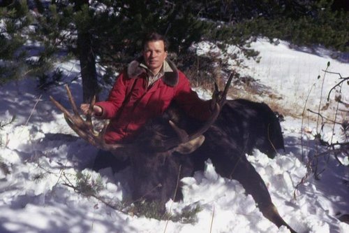 moose 002.jpg moose 002.jpg