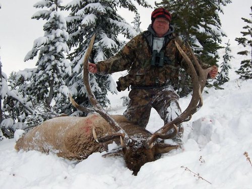 elk 116.jpg elk 116.jpg
