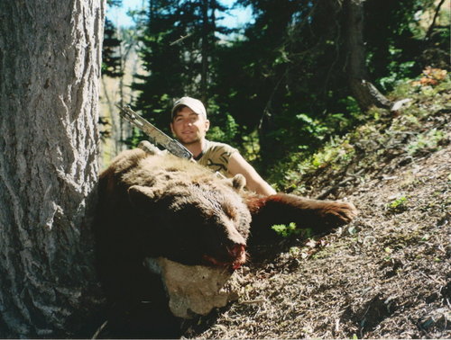 Bear.jpg2.jpg