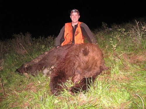 2008_Spring_bear.JPG 2008_Spring_bear.JPG