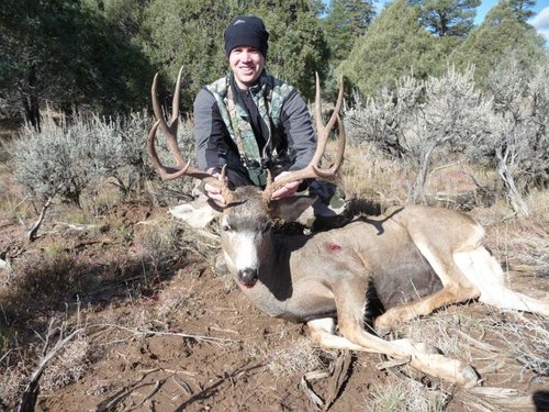 2010 NM deer.jpg 2010 NM deer.jpg