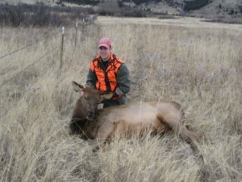 2007 Elk.jpg