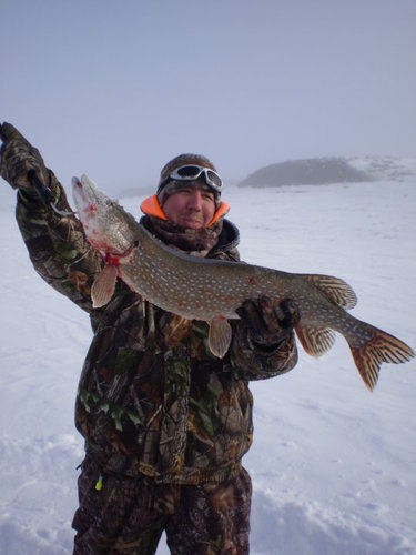 pike pic.jpg pike pic.jpg