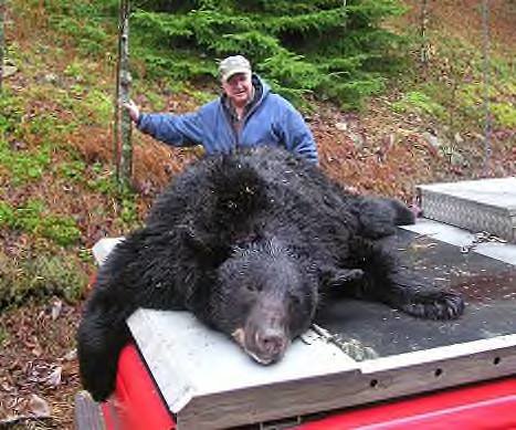 bear_12_6_04.jpg bear_12_6_04.jpg