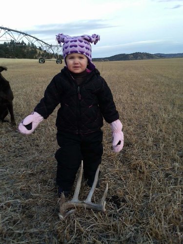 Brookie's First Shed.jpg