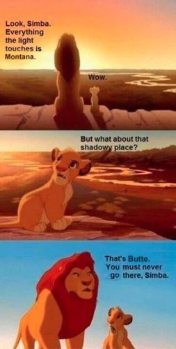 simba.jpg simba.jpg