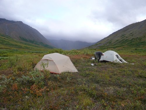 P1020380.JPG