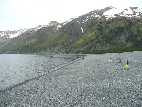 P1010584.JPG