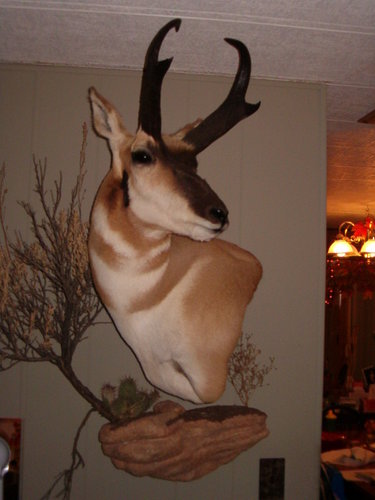 Bren's '09 Buck 047.jpg