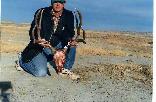deer 03.JPG