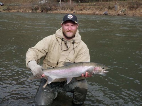 Dustin hen2.jpg