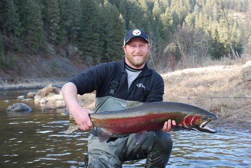 Oregon Cheese Buck.jpg