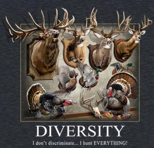 Hunting Diversity.jpg