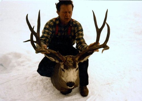 deer  017.jpg